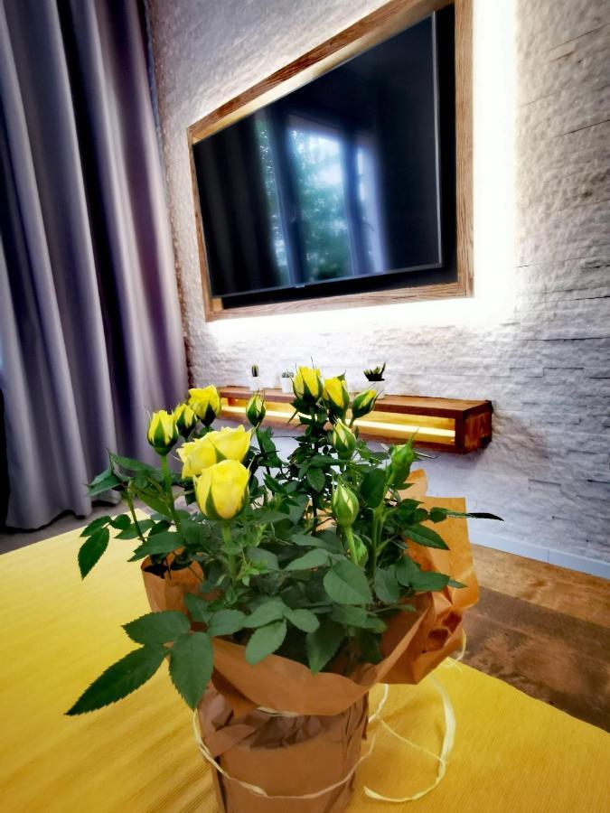 Apartament Przy Arsenale Breslavia Exterior foto
